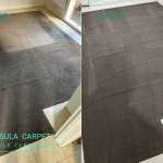 Carpet Cleaning